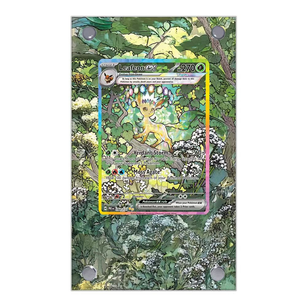 Carte Pokemon Display PTCG Lea - Display Case Acrylic recensione e prezzo
